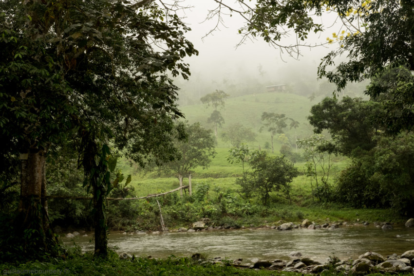 Mashpi - Equateur 2016