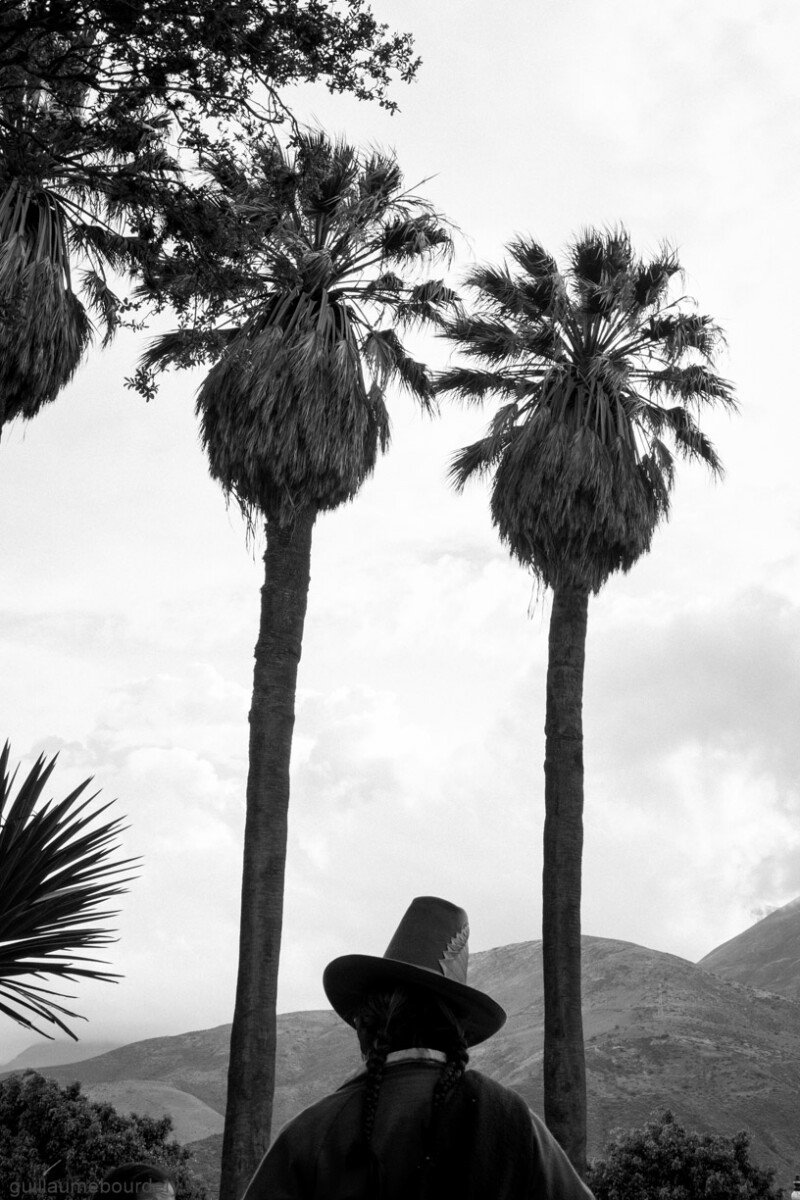 Caraz Dulzura - Pérou 2017