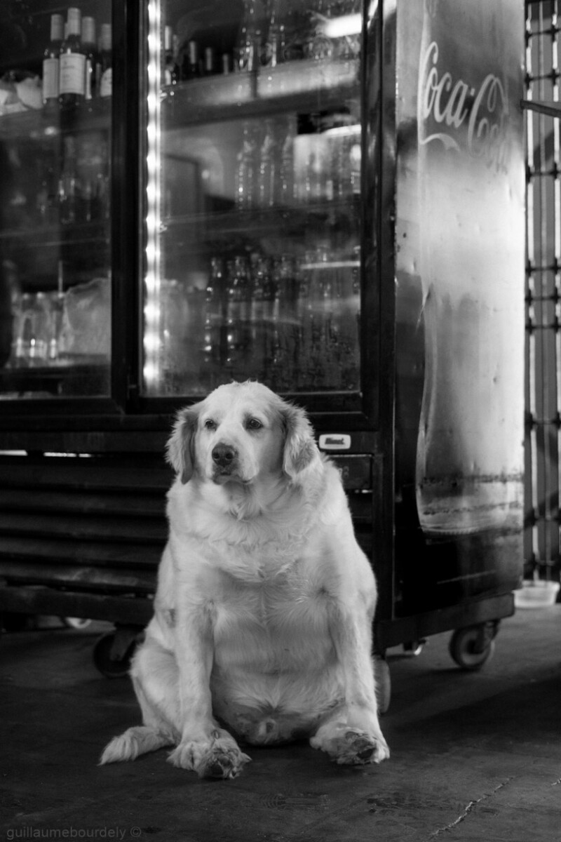 Valparaiso - Chili 2017